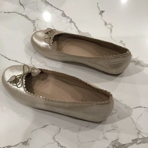 Elephantito scalloped ballet flat